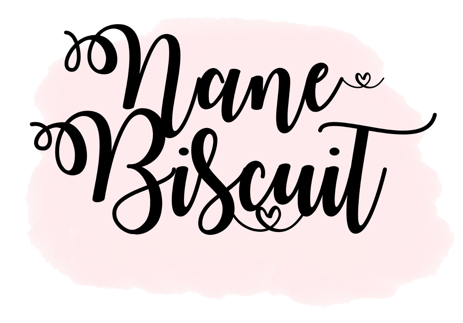 Nane Biscuit Logo
